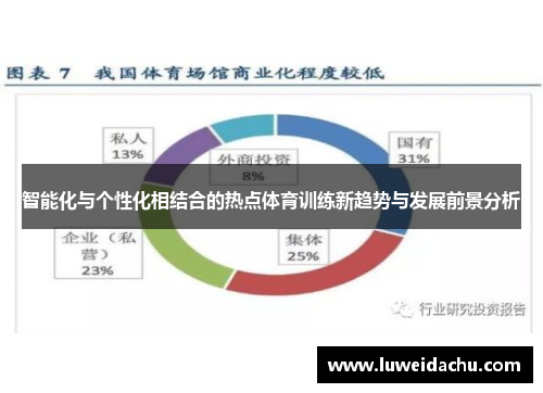 智能化与个性化相结合的热点体育训练新趋势与发展前景分析